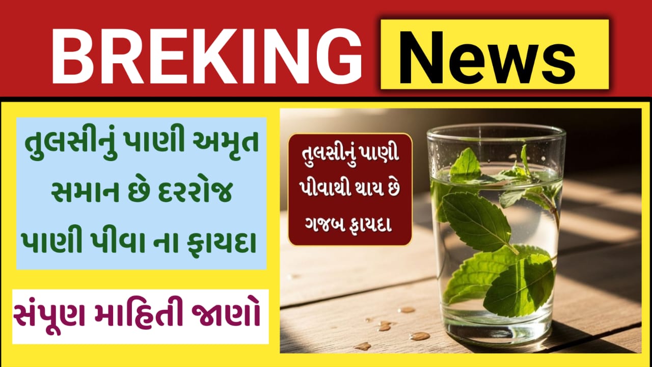 Tulsi Water